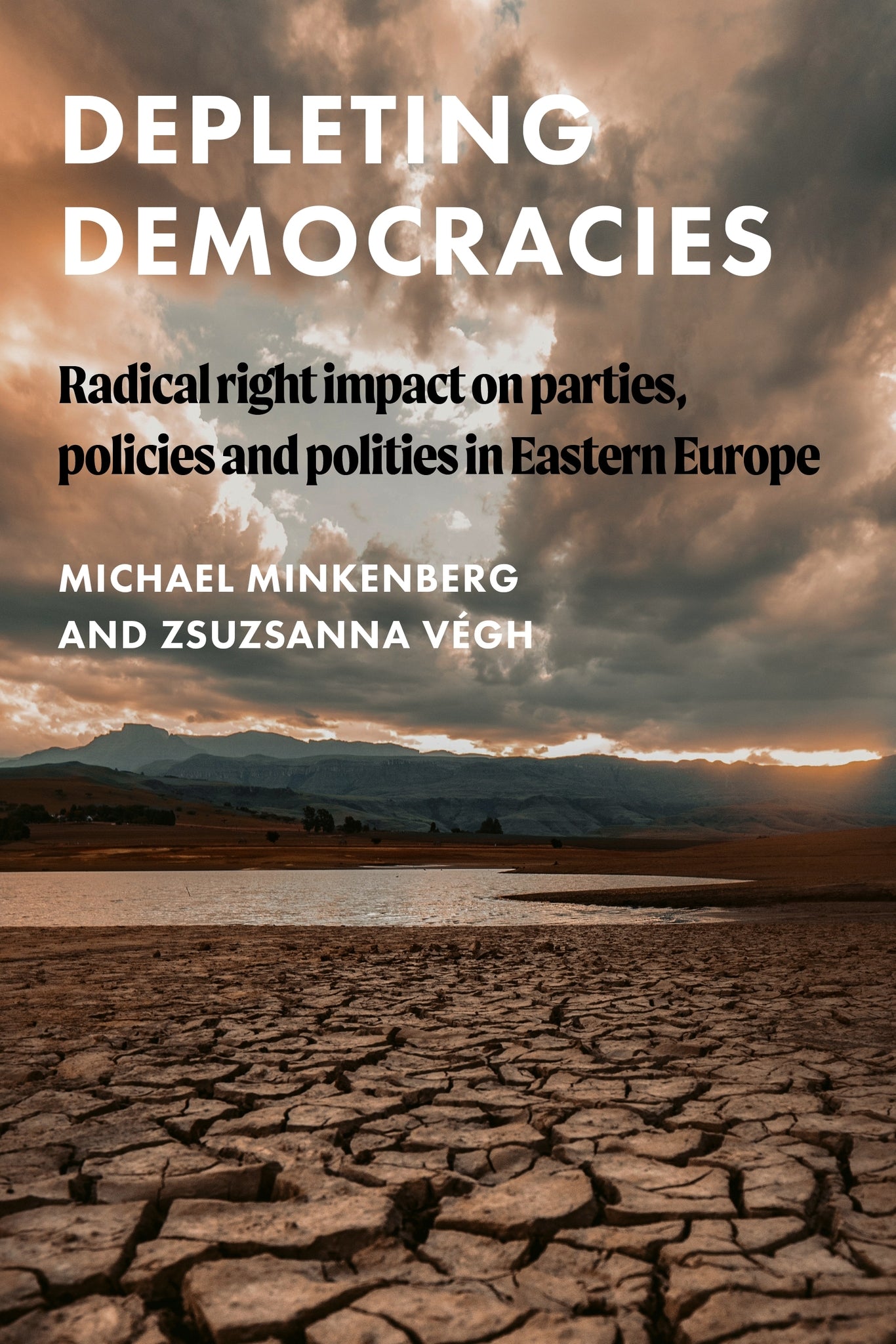 Cover image for Depleting democracies ISBN 9781526160188